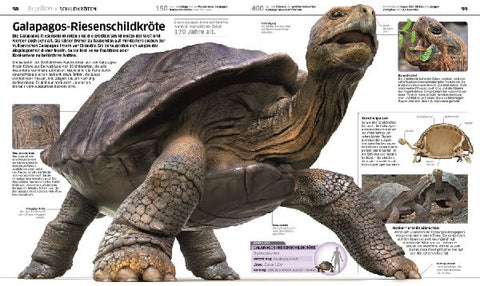 9783831033409 - Sample content