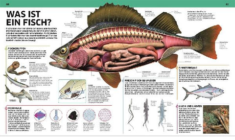 9783831033409 - Sample content