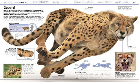 9783831033409 - Sample content