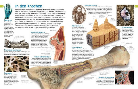 9783831033997 - Sample content