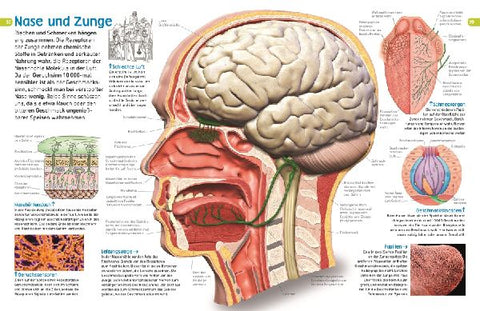 9783831033997 - Sample content