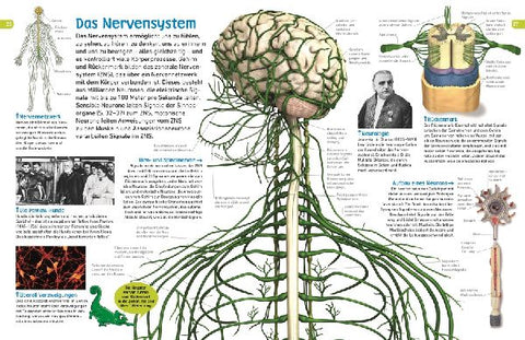 9783831033997 - Sample content