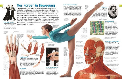 9783831033997 - Sample content