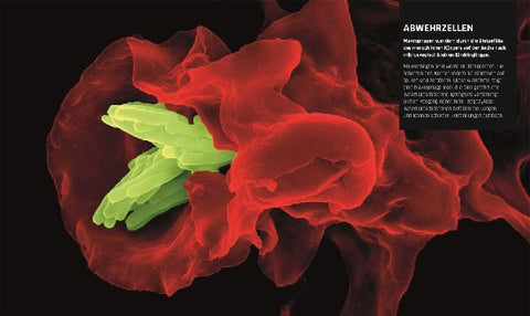 9783831034604 - Sample content