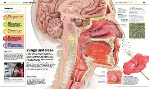 9783831034604 - Sample content