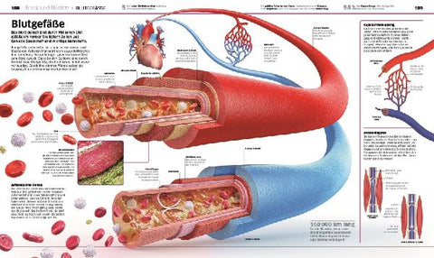 9783831034604 - Sample content
