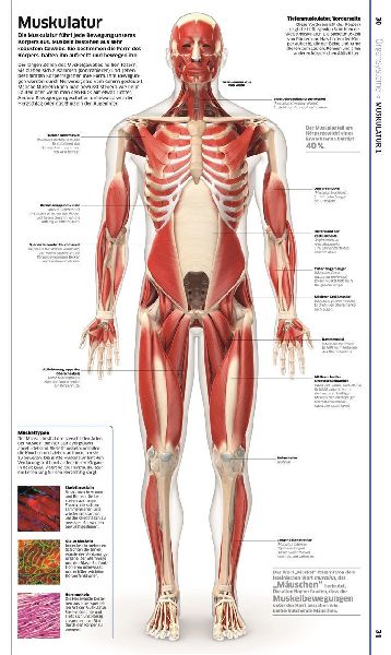 9783831034604 - Sample content