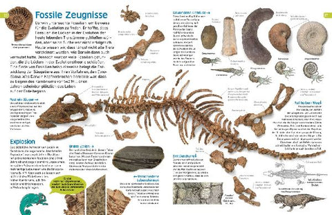 9783831035465 - Sample content