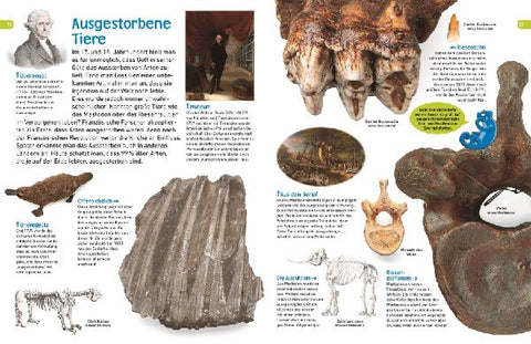 9783831035465 - Sample content