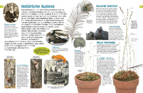 9783831035465 - Sample content