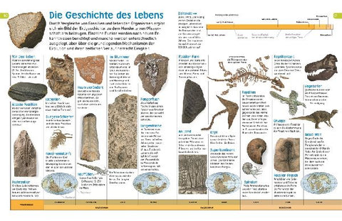 9783831035465 - Sample content