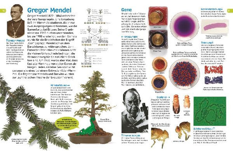 9783831035465 - Sample content