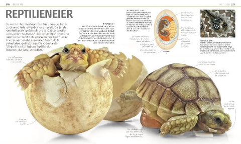 9783831035557 - Sample content