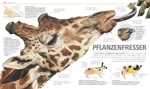 9783831035557 - Sample content