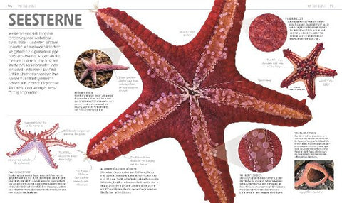 9783831035557 - Sample content