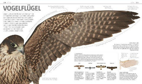 9783831035557 - Sample content