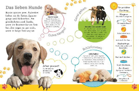 9783831035694 - Sample content