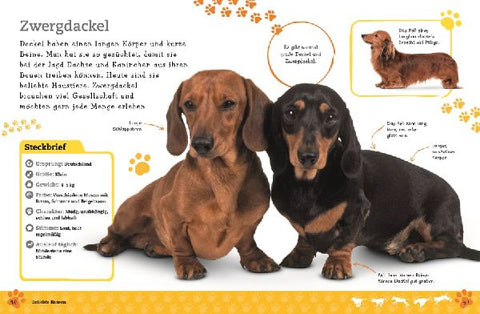 9783831035694 - Sample content