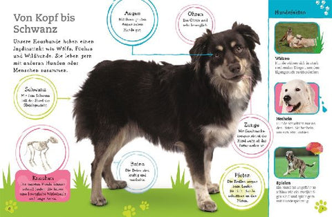 9783831035694 - Sample content