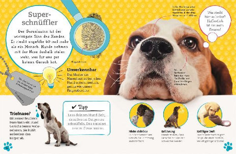 9783831035694 - Sample content