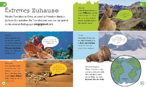 9783831035731 - Sample content