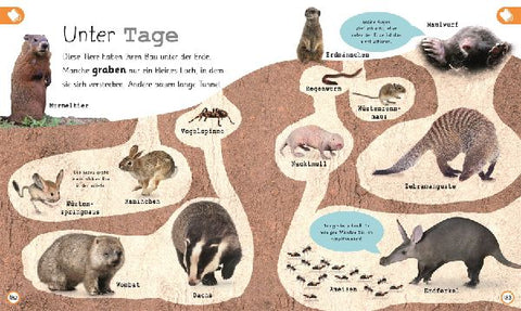 9783831035731 - Sample content