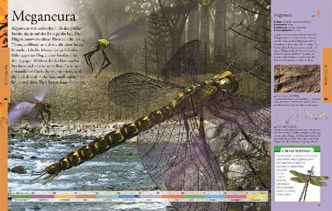 9783831036776 - Sample content