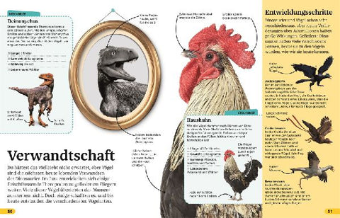 9783831036844 - Sample content