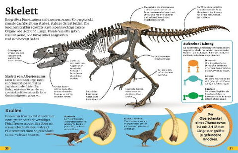 9783831036844 - Sample content