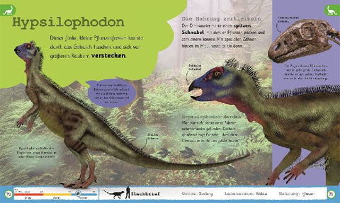 9783831036950 - Sample content