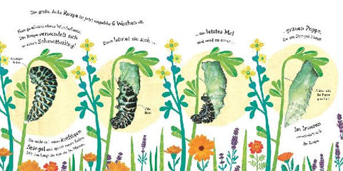 9783831036998 - Sample content