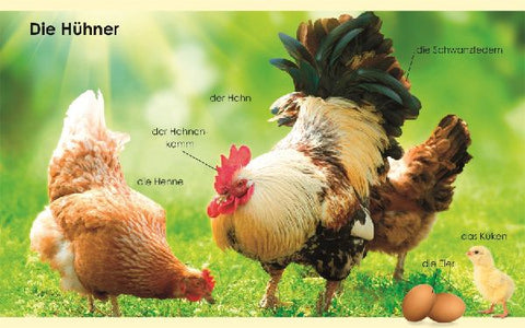 9783831037094 - Sample content