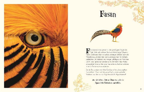 9783831038190 - Sample content