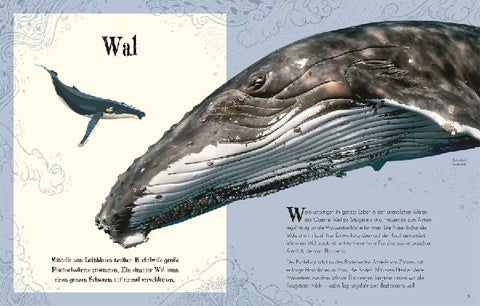 9783831038190 - Sample content