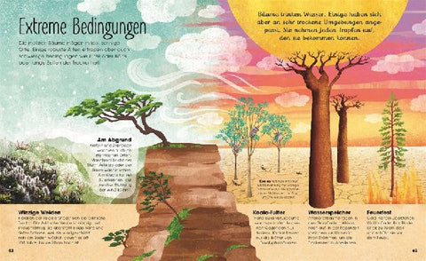 9783831038206 - Sample content