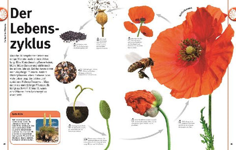 9783831039265 - Sample content