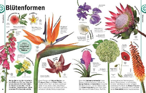 9783831039265 - Sample content