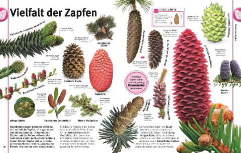 9783831039265 - Sample content