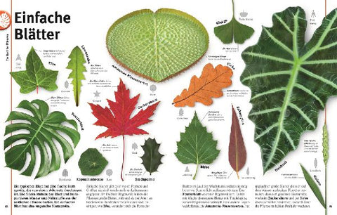 9783831039265 - Sample content