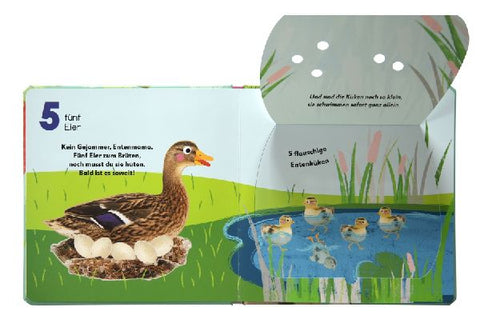 9783831039432 - Sample content