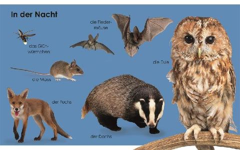 9783831039500 - Sample content