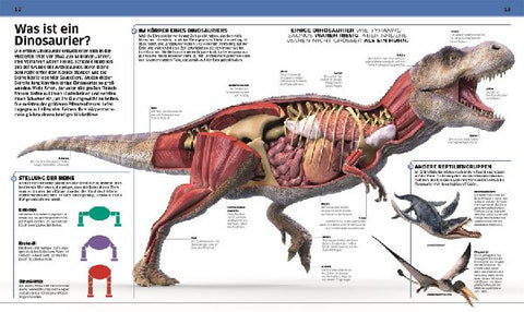 9783831040063 - Sample content