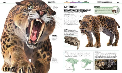 9783831040063 - Sample content