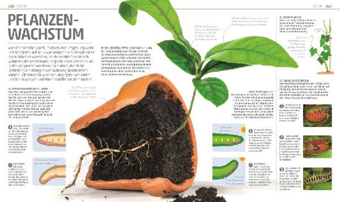 9783831040353 - Sample content