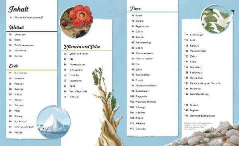 9783831040384 - Sample content