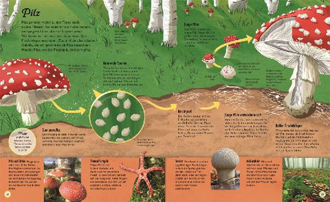 9783831040384 - Sample content