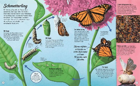 9783831040384 - Sample content