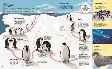 9783831040384 - Sample content