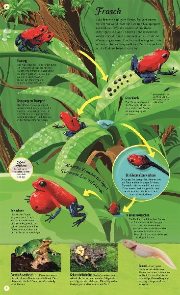 9783831040384 - Sample content