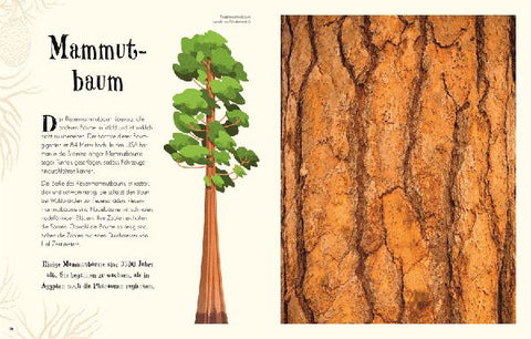 9783831040414 - Sample content